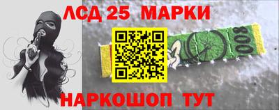 spice Гатчина