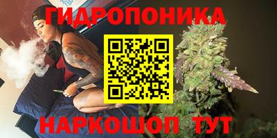spice Гатчина